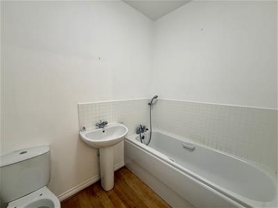 Picture 17